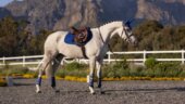 LeMieux podsedelnica Suede 126