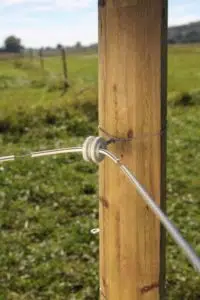 Žica Top Line, jeklo 18