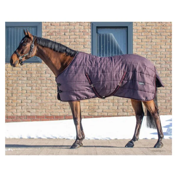 QHP hlevsko pregrinjalo Start, 200 g, 165 cm 6