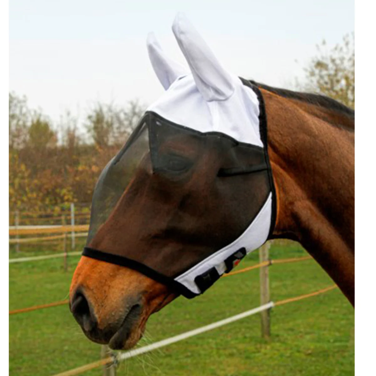 Covalliero maska SuperFly 5