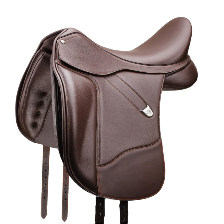 Bates Dressage 14