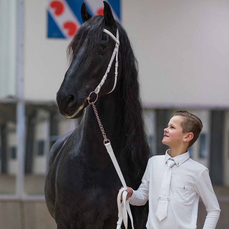QHP Show uzda 6