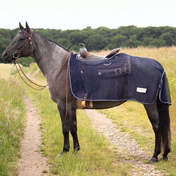 Bates Pony All Purpose 9 Bates Pony All Purpose 9