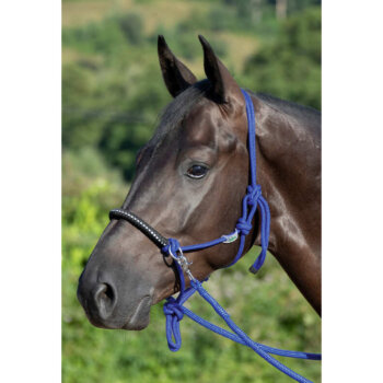 USG usnjena oglavka Lovely 3