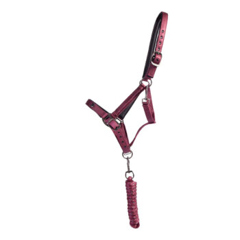 HAC Equi HempOne olje, 0,5 L 3