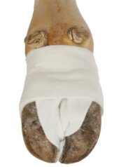 Gaza CottinoStar, 10 cm x 3 m, 6 kosov 10