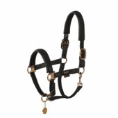 Eskadron oglavka Plait Platinum 2023 9 Eskadron oglavka Plait Platinum 2023 9