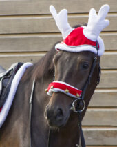 QHP naušniki Reindeer 7