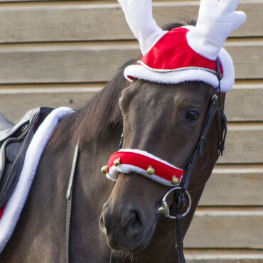 QHP naušniki Reindeer 3