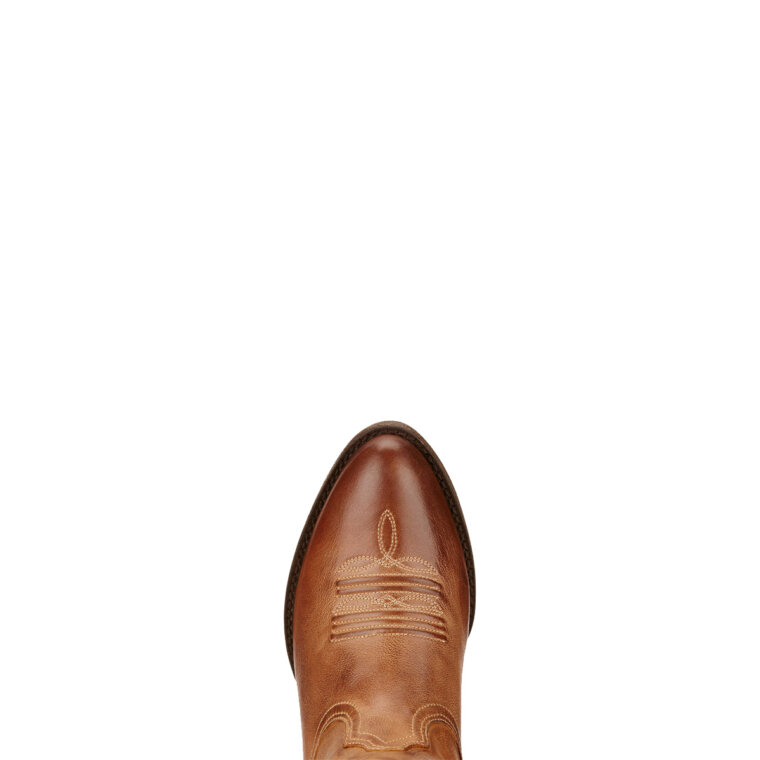 Ariat gležnarji Darlin Western, ženski 14