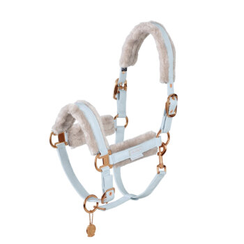 Montar majica Aspen 9