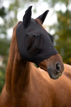 Krmilnik z odtočnim čepom, 9 L 3