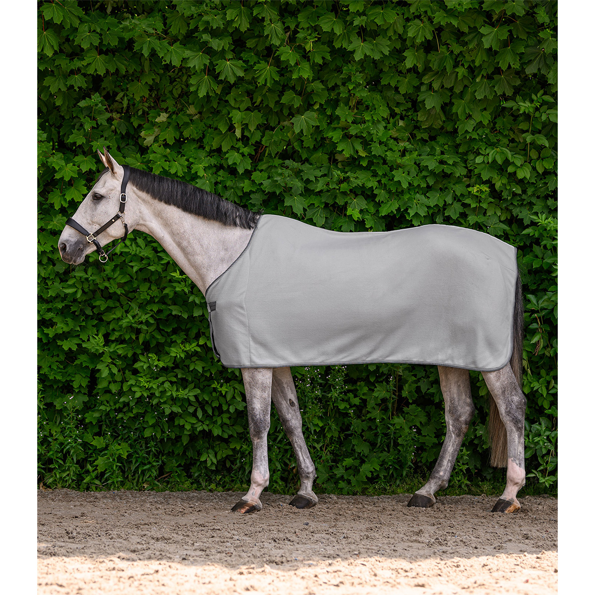 Waldhausen flis pregrinjalo Economic 25/26 8 Waldhausen flis pregrinjalo Economic 25/26 8