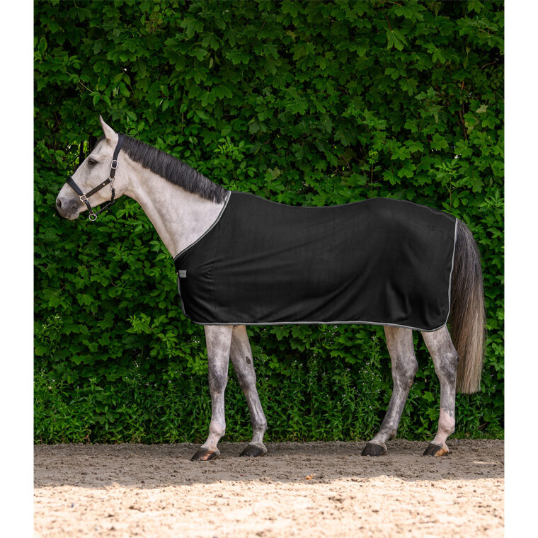 Waldhausen flis pregrinjalo Economic 25/26 4