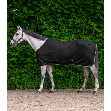 Waldhausen flis pregrinjalo Economic 25/26 20