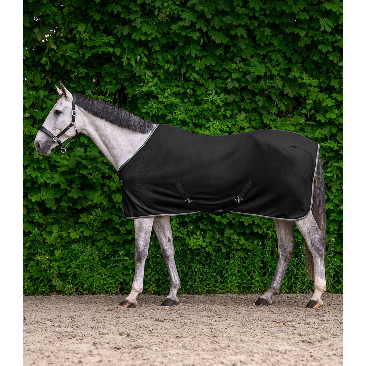 Waldhausen flis pregrinjalo Economic 25/26, s trakovi 9 Waldhausen flis pregrinjalo Economic 25/26, s trakovi 9