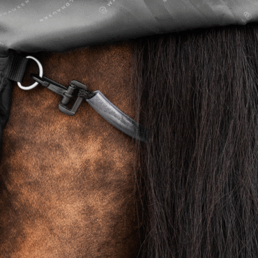 Waldhausen zunanje pregrinalo Scandic, 50g 3