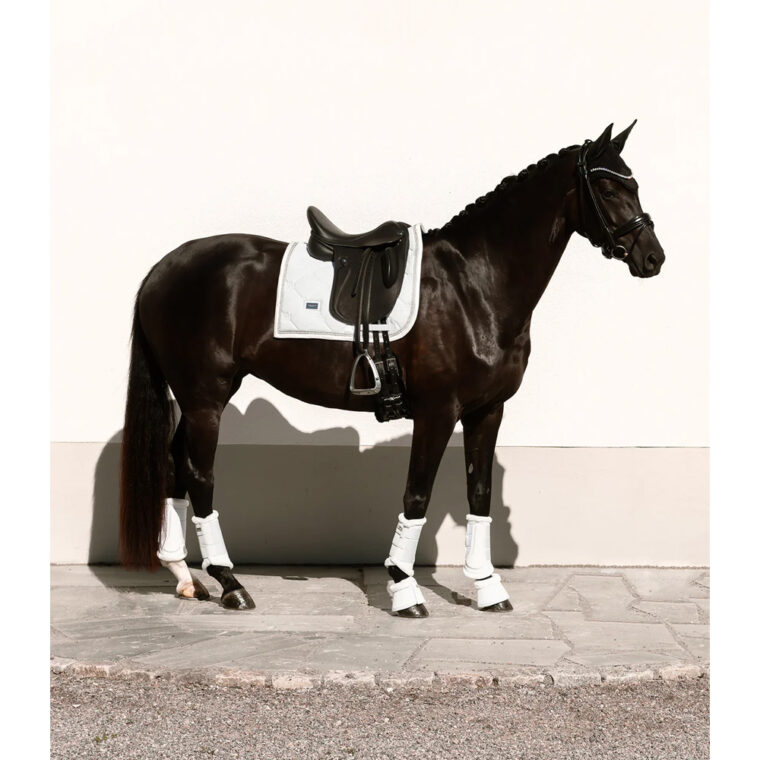 Equestrian Stockholm dresurna podsedelnica Crystal 6