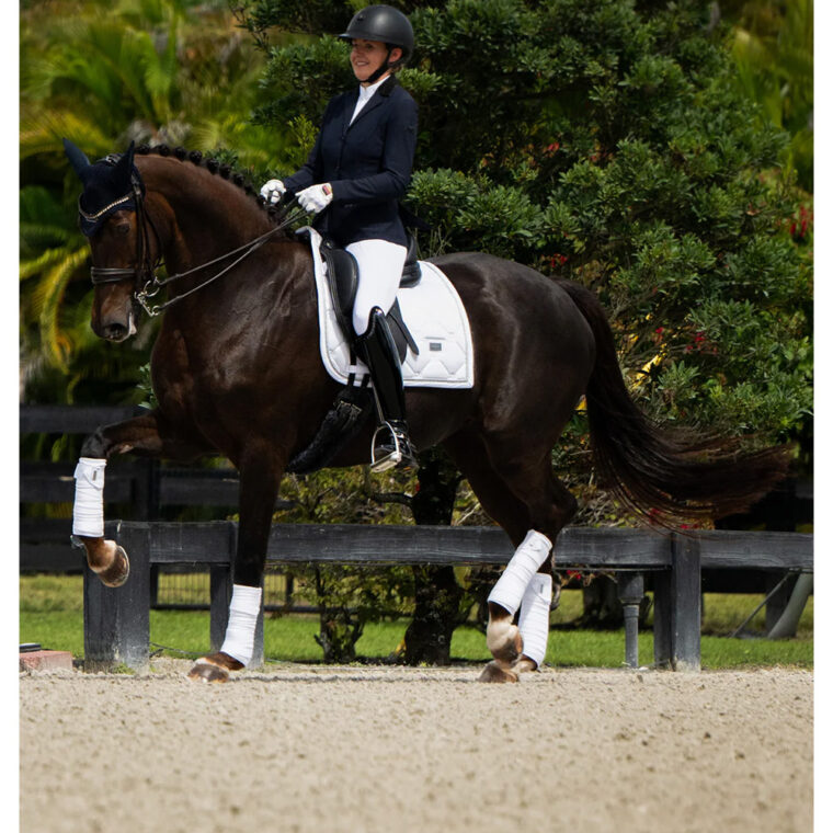 Equestrian Stockholm dresurna podsedelnica Perfection 4