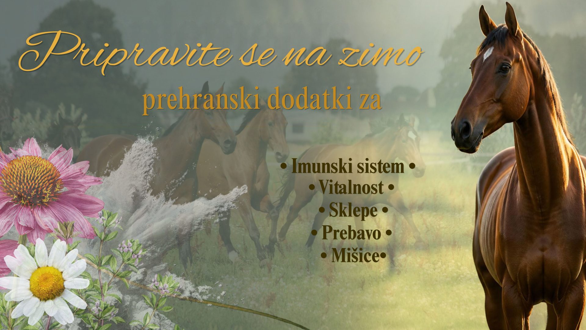 pripravite-se-na-zimo-banner Domov